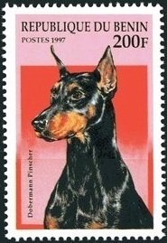 Colnect-2091-968-Doberman-Pinscher-Canis-lupus-familiaris.jpg