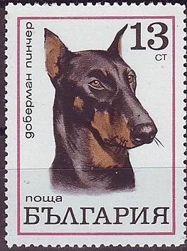 Colnect-2505-653-Doberman-Pinscher-Canis-lupus-familiaris.jpg