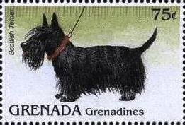 Colnect-4373-686-Scottish-terrier.jpg