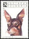 Colnect-449-621-Miniature-Pinscher-Canis-lupus-familiaris.jpg