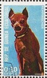 Colnect-865-225-Miniature-Pinscher-Canis-lupus-familiaris.jpg