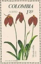 Colnect-4430-904-Masdevallia-coccinea.jpg