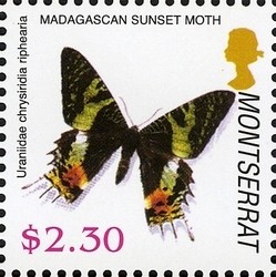 Colnect-1529-962-Madagascan-Sunset-Moth-Chrysiridia-riphearia.jpg