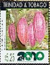 Colnect-2134-818-Trinidad-select-hybrid-cocoa-pods.jpg