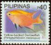 Colnect-2852-231-Yellow-backed-Damselfish-Paraglyphidodon-melanopus.jpg