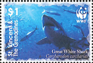 Colnect-1748-178-Great-White-Shark-Carcharodon-carcharias.jpg