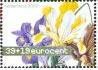 Colnect-702-565-Spanish-iris-Iris-xiphium.jpg