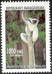 Colnect-1458-353-Verreaux%E2%80%99s-Sifaka-Propithecus-verreauxi.jpg