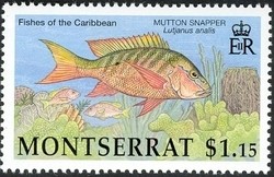 Colnect-1530-055-Mutton-Snapper-Lutjanus-analis.jpg