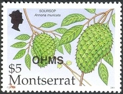 Colnect-1530-052-Soursop-Annona-muricata.jpg