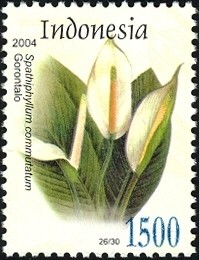 Colnect-1586-587-Flora---Spathiphyllum-commutatum.jpg