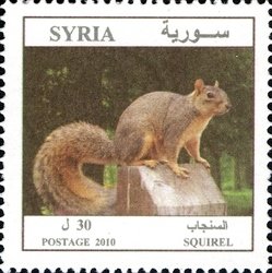 Colnect-1427-329-Caucasian-Squirrel-Sciurus-anomalus.jpg