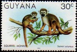 Colnect-4726-426-Squirrel-Monkey.jpg