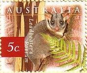 Colnect-862-568-Leadbeater-s-Possum-Gymnobelideus-leadbeateri.jpg