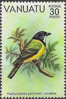 Colnect-1227-541-Australian-Golden-Whistler-Pachycephala-pectoralis-ssp-cuc.jpg