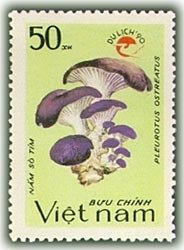 Colnect-1654-022-Pleurotus-ostreatus---Logo-of-Tourism.jpg