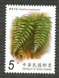 Colnect-1854-186-Polystichum-lepidocaulon.jpg