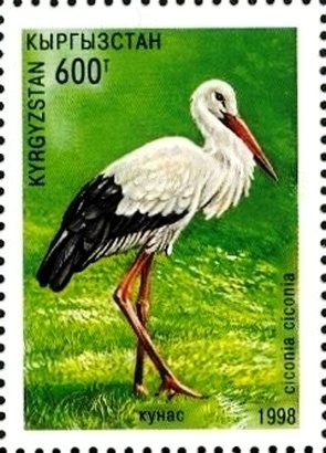 Colnect-2688-192-White-Stork-Ciconia-ciconia.jpg