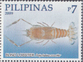 Colnect-2855-483-Blind-Lobster-Polycheles-coccifer.jpg