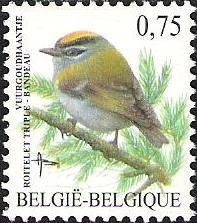 Colnect-567-767-Common-Firecrest-nbsp-Regulus-ignicapillus.jpg