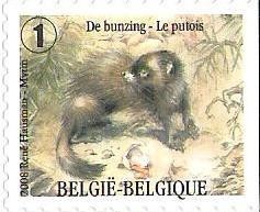 Colnect-576-046-European-Polecat-Mustela-putorius---right-imperforate.jpg