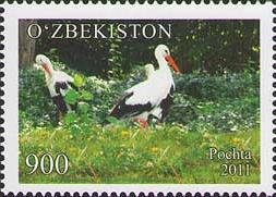 Colnect-899-710-White-Stork-Ciconia-ciconia.jpg