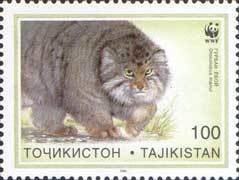 Colnect-1098-648-Pallas-s-Cat-Otocolobus-manul.jpg