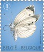 Colnect-1114-379-Large-White-Pieris-brassicae---Bottom-imperforate.jpg