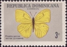 Colnect-1587-953-Cloudless-Sulphur-Phoebis-sennae.jpg