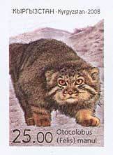 Colnect-197-402-Pallas-s-Cat-Otocolobus-manul.jpg