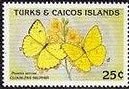 Colnect-2610-127-Cloudless-Sulphur-Phoebis-sennae.jpg