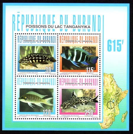 Colnect-527-689-Fishes-of-Lake-Tanganyika.jpg