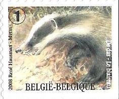 Colnect-576-050-European-Badger-Meles-meles---right--bottom-imperforate.jpg