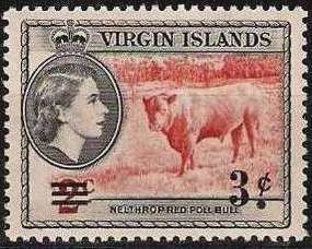 Colnect-996-446-St-Croix-Hornless-Cattle-Bos-primigenius-taurus.jpg