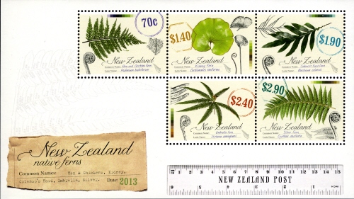 NZ009MS.13.jpg