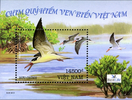 VN008MS.10.jpg