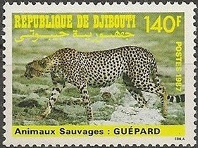 Colnect-1085-365-Cheetah-Acinonyx-jubatus.jpg