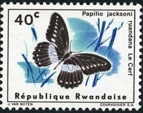 Colnect-1259-223-Jackson--s-Swallowtai-Papilio-jacksoni-ssp-ruandana.jpg