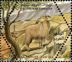 Colnect-1384-817-Arabian-Tahr-Hemitragus-jayakari.jpg