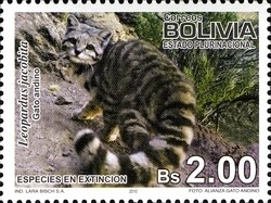 Colnect-1415-628-Andean-Mountain-Cat-Leopardus-jacobita.jpg