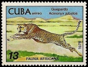 Colnect-1434-275-Cheetah-Acinonyx-jubatus.jpg