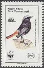 Colnect-1687-306-Black-Redstart-Phoenicurus-ochruros.jpg