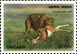 Colnect-1692-516-Cheetah-Acinonyx-jubatus.jpg