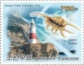 Colnect-1838-030-Europa-Point-GIBRALTAR---Scorpion-Conch-Lambis-scorpio.jpg