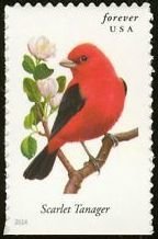 Colnect-2170-428-Scarlet-Tanager-Piranga-olivacea.jpg