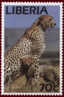 Colnect-2288-650-Cheetah-Acinonyx-jubatus.jpg