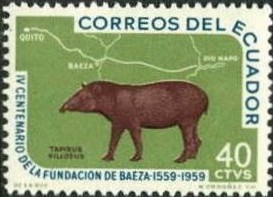 Colnect-489-526-Mountain-Tapir-Tapirus-pinchaque.jpg