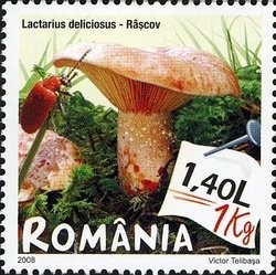 Colnect-761-975-Lactarius-deliciosus.jpg