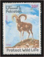 Colnect-869-863-Urial-Ovis-orientalis-vignei-Protect-Wild-Life.jpg