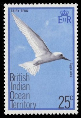 Colnect-1379-295-White-Tern-Gygis-alba.jpg